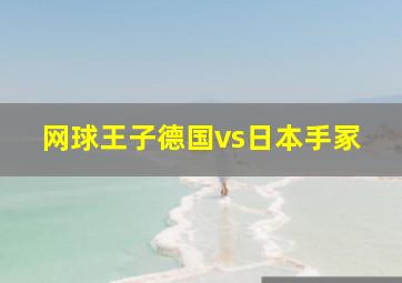 网球王子德国vs日本手冢