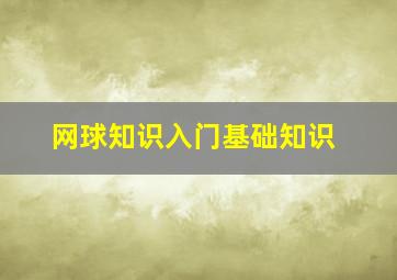 网球知识入门基础知识