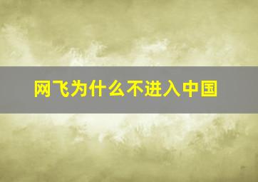 网飞为什么不进入中国