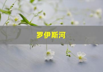 罗伊斯河