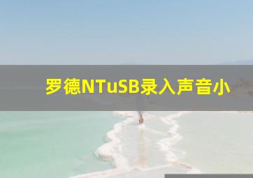 罗德NTuSB录入声音小