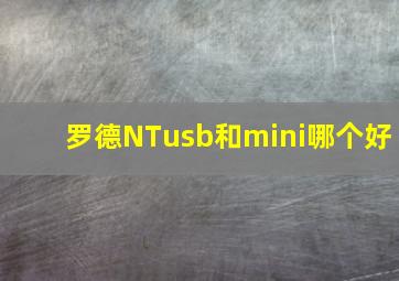 罗德NTusb和mini哪个好