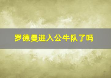 罗德曼进入公牛队了吗