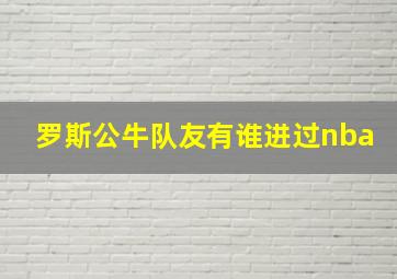 罗斯公牛队友有谁进过nba