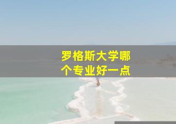 罗格斯大学哪个专业好一点