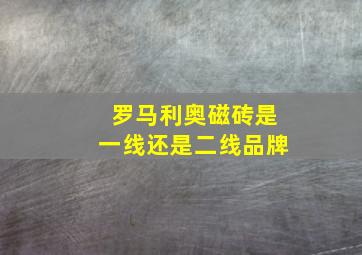 罗马利奥磁砖是一线还是二线品牌