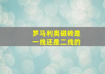 罗马利奥磁砖是一线还是二线的