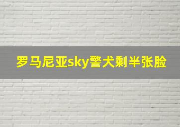 罗马尼亚sky警犬剩半张脸