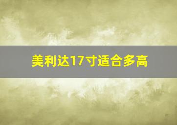 美利达17寸适合多高