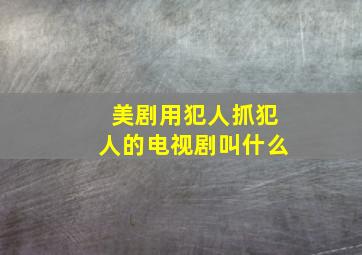 美剧用犯人抓犯人的电视剧叫什么