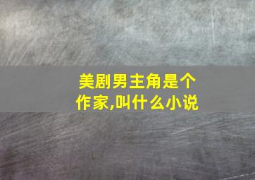 美剧男主角是个作家,叫什么小说