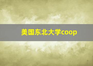 美国东北大学coop