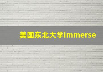 美国东北大学immerse