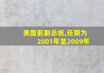 美国前副总统,任期为2001年至2009年