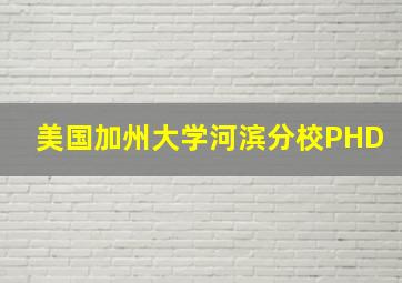 美国加州大学河滨分校PHD