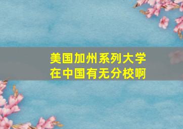 美国加州系列大学在中国有无分校啊