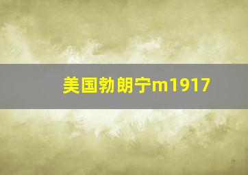 美国勃朗宁m1917