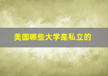 美国哪些大学是私立的