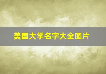 美国大学名字大全图片