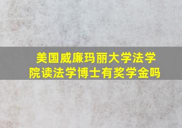 美国威廉玛丽大学法学院读法学博士有奖学金吗