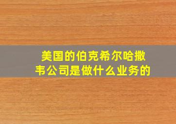 美国的伯克希尔哈撒韦公司是做什么业务的