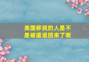 美国移民的人是不是被遣返回来了呢