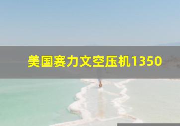 美国赛力文空压机1350