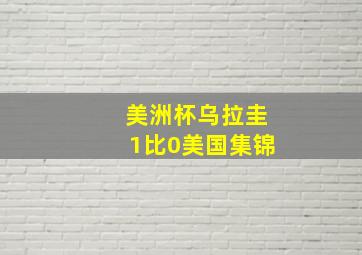 美洲杯乌拉圭1比0美国集锦