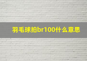 羽毛球拍br100什么意思