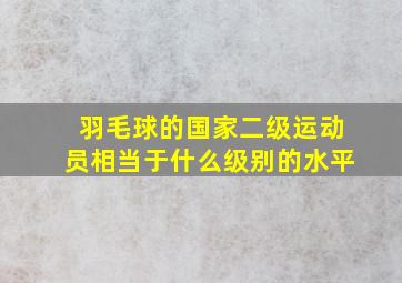 羽毛球的国家二级运动员相当于什么级别的水平