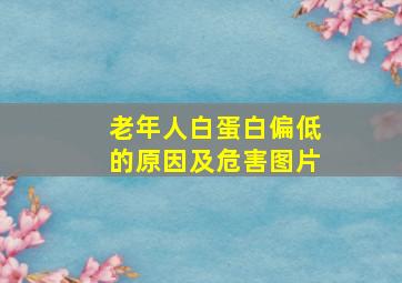 老年人白蛋白偏低的原因及危害图片