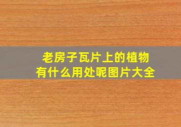 老房子瓦片上的植物有什么用处呢图片大全