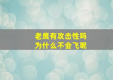 老鹰有攻击性吗为什么不会飞呢