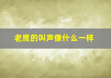 老鹰的叫声像什么一样