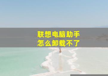 联想电脑助手怎么卸载不了