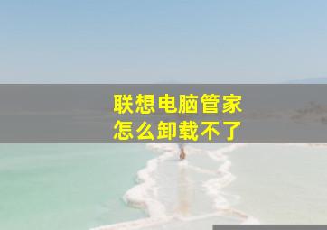 联想电脑管家怎么卸载不了