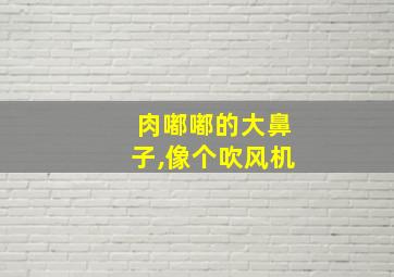 肉嘟嘟的大鼻子,像个吹风机