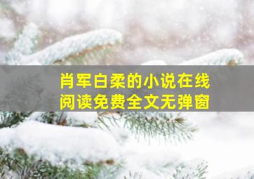 肖军白柔的小说在线阅读免费全文无弹窗