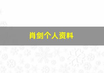 肖剑个人资料