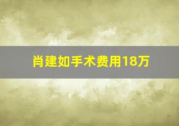 肖建如手术费用18万