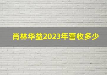 肖林华益2023年营收多少