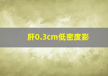 肝0.3cm低密度影