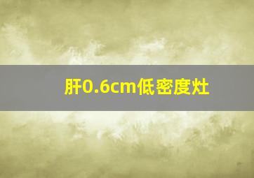 肝0.6cm低密度灶