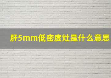 肝5mm低密度灶是什么意思