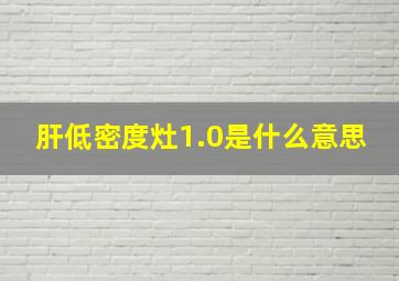 肝低密度灶1.0是什么意思