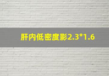 肝内低密度影2.3*1.6