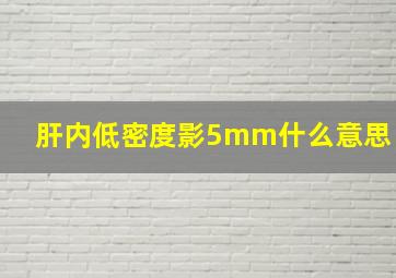 肝内低密度影5mm什么意思