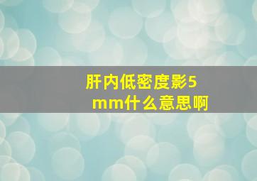 肝内低密度影5mm什么意思啊