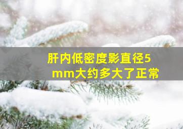 肝内低密度影直径5mm大约多大了正常