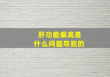 肝功能偏高是什么问题导致的